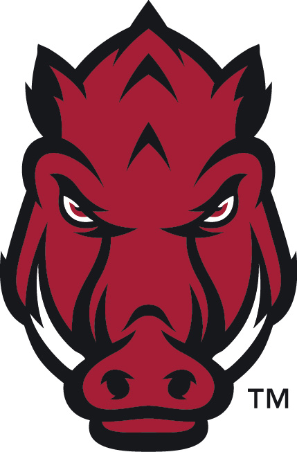Arkansas Razorbacks 2014-Pres Secondary Logo iron on transfers for clothing